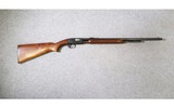 Remington ~ Model 121 ~ 22 Short, Long, and Long Rifle - 1 of 10