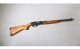 Winchester ~ Model 190 ~ 22 Long or Long Rifle - 1 of 10