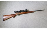 Ruger ~ Model 77/17 ~ 17 HMR