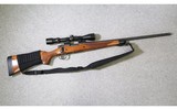 Remington ~ Model 700 ~ 243 Winchester - 1 of 10