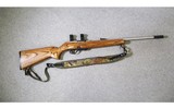 Remington ~ Model 597 ~ 22 Long Rifle - 1 of 10