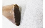 Remington ~ Model 41 Target Master ~ 22 Short, Long, and Long Rifle - 10 of 10