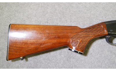 Remington ~ Model 742 ~ 30-06 Springfield