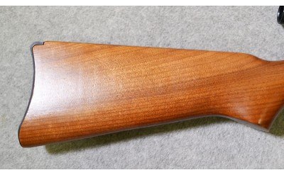 Ruger ~ Model 10/22 ~ 22 Long Rifle