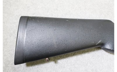Remington ~ Model 700 Titanium ~ 30-06 Springfield