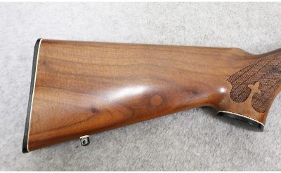 Remington ~ Model 742 ~ 30-06 Springfield
