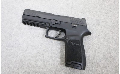 Sig Sauer ~ Model P320 ~ 40 S&W