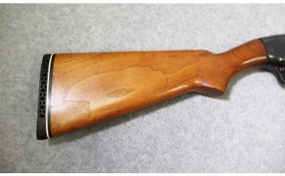 Remington ~ Model 31 ~ 12 Gauge