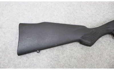 Marlin ~ Model 795 ~ 22 Long Rifle