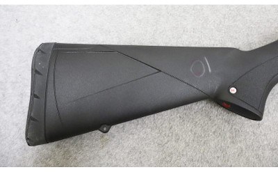 Winchester ~ Model SXP ~ 20 Gauge