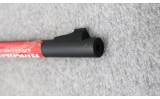 Winchester ~ Model Expert ~ 22 Long Rifle - 4 of 9