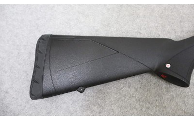 Winchester ~ Model SXP ~ 12 Gauge