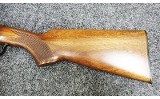 Fausti ~ Model None ~ 20 Gauge - 7 of 11