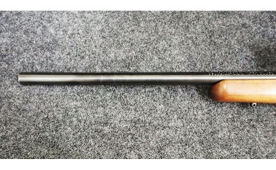 Marlin ~ Model - XT-17 ~ .17HMR - Image 6 of 11