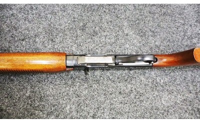 Remington ~ Model - 742 Woodsmaster ~ .30-06 Springfield - Image 10 of 11