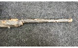 Savage Arms ~ Model - 10 ~ .204 Ruger - 4 of 11