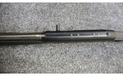 Stoeger ~ Model - M3500 ~ 12 Gauge - Image 11 of 12