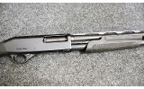 Stoeger ~ Model - P3500 ~ 12 Gauge - 3 of 11