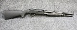 Stoeger ~ Model - P3000 ~ 12 Gauge - Image 1 of 11