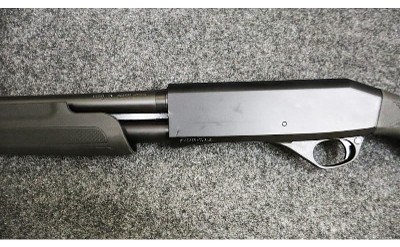 Stoeger ~ Model - P3000 ~ 12 Gauge - Image 7 of 11