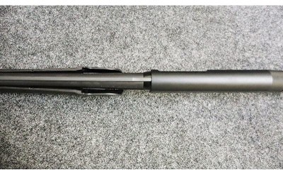 Stoeger ~ Model - P3500 ~ 12 Gauge - Image 11 of 11