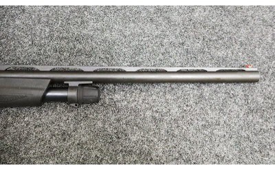 Stoeger ~ Model- P3500 ~ 12 Gauge - Image 4 of 11