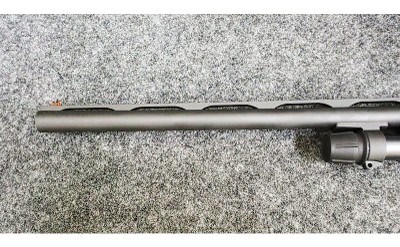 Stoeger ~ Model - P3500 ~ 12 Gauge - Image 6 of 11