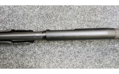 Stoeger ~ Model - P3500 ~ 12 Gauge - Image 11 of 11
