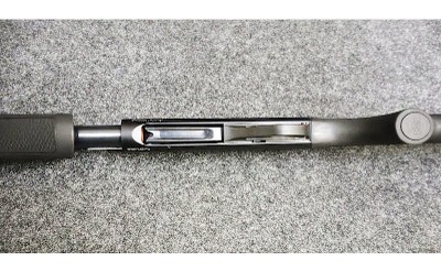 Stoeger ~ Model - P3500 ~ 12 Gauge - Image 10 of 11