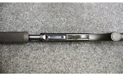 Stoeger ~ Model - P3500 ~ 12 Gauge - Image 10 of 11
