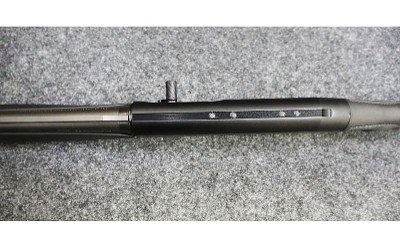 Stoeger ~ Model - M3500 ~ 12 Gauge - Image 11 of 12