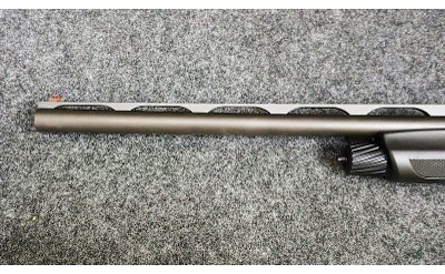 Stoeger ~ Model - M3500 ~ 12 Gauge - Image 6 of 12