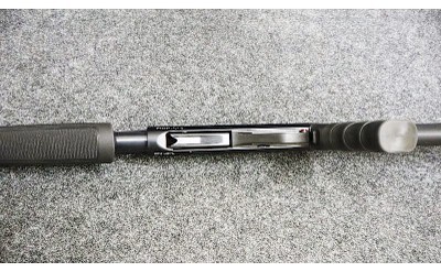Stoeger ~ Model - P3000 ~ 12 Gauge - Image 10 of 11