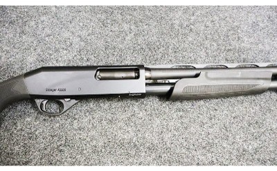 Stoeger ~ Model - P3500 ~ 12 Gauge - Image 3 of 11