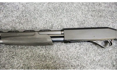 Stoeger ~ Model - P3500 ~ 12 Gauge - Image 7 of 11