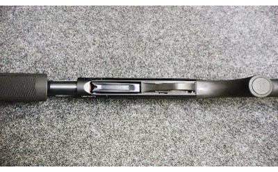 Stoeger ~ Model - P3500 ~ 12 Gauge - Image 10 of 11