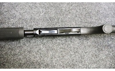 Stoeger ~ Model - P3000 ~ 12 Gauge - Image 10 of 11