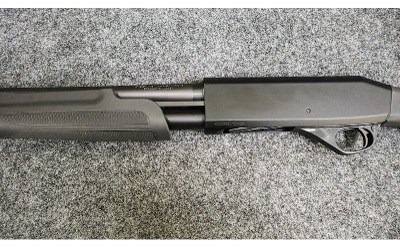 Stoeger ~ Model - P3000 ~ 12 Gauge - Image 7 of 11