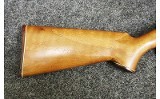 Remington ~ Model - 581 ~ .22 Short, Long, and Long Rifle - 2 of 11