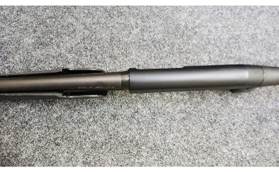 Stoeger ~ Model - P3000 ~ 12 Gauge - Image 11 of 11
