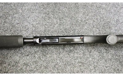 Stoeger ~ Model - P3000 ~ 12 Gauge - Image 10 of 11