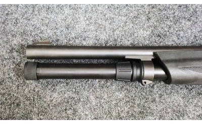 Stoeger ~ Model - P3000 ~ 12 Gauge - Image 6 of 11