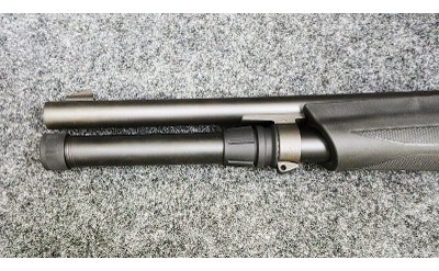 Stoeger ~ Model - P3000 ~ 12 Gauge - Image 6 of 11