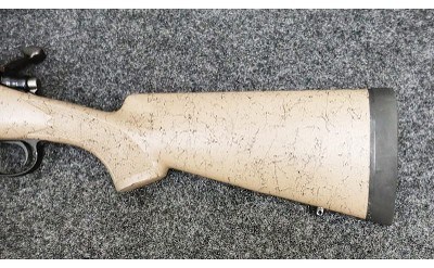 Remington ~ Model - 700 ~ .22-250 Remington - Image 8 of 11