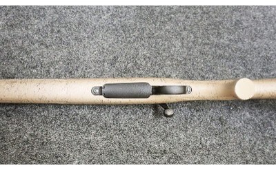 Remington ~ Model - 700 ~ .22-250 Remington - Image 10 of 11