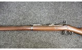 Springfield ~ Model - 1884 ~ 45.70 Government - 7 of 11