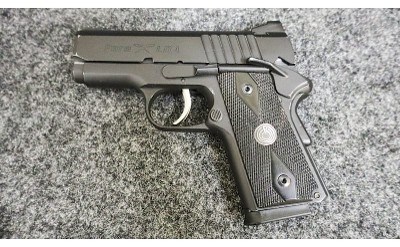 Para ~ Model - Carry 9 ~ 9mm Luger - Image 2 of 4