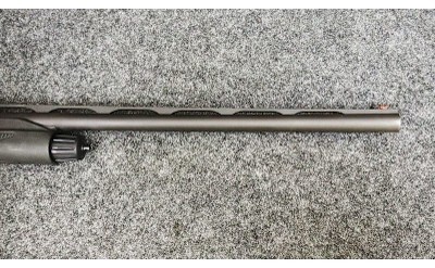 Stoeger ~ Model - M3000 ~ 12 Gauge - Image 4 of 11