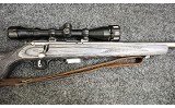 Savage Arms ~ Model - 93R17 ~ .17HMR - 3 of 11