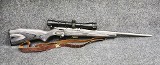 Savage Arms ~ Model - 93R17 ~ .17HMR - 1 of 11